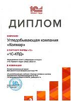 Диплом "1С:Проект года 2022" в номинации "Лучший региональный проект ДФО РФ"